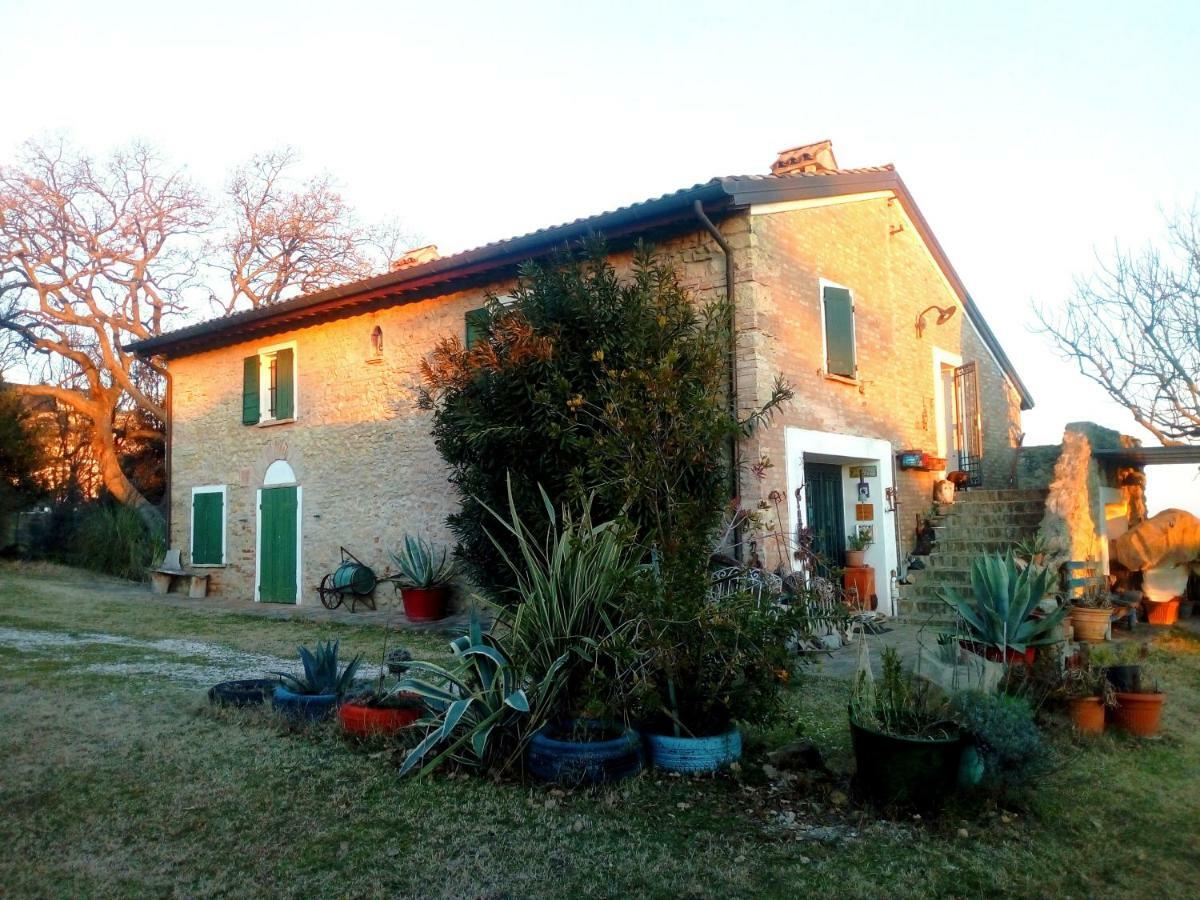 la cana dolce Bertinoro Esterno foto
