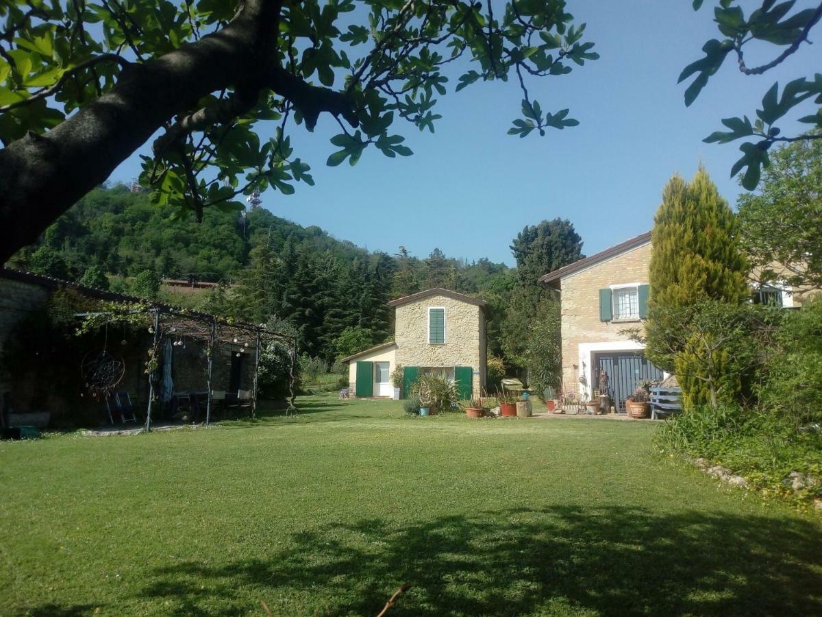la cana dolce Bertinoro Esterno foto